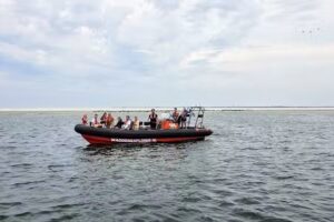 Waddenexplorer zeehonden spotten, Seehundetour