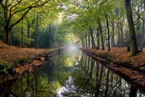 Wandelen in Bergen Groepen en Bedrijfsuitjes