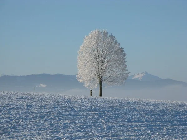 Mijn 3 favoriete wintermomenten