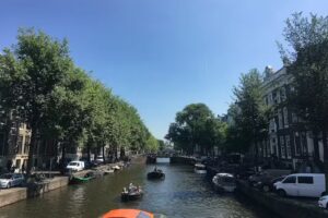 Yellow Bike Tours and Rental