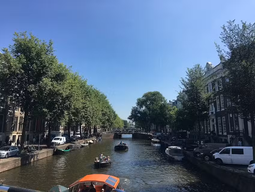 Yellow Bike Tours and Rental