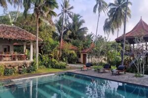 Zakelijke Coaching Reizen