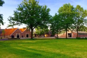 Zanderink Op Aust, Vakantieverblijf en Melkveehouderij