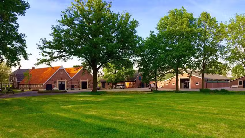 Zanderink Op Aust, Vakantieverblijf en Melkveehouderij