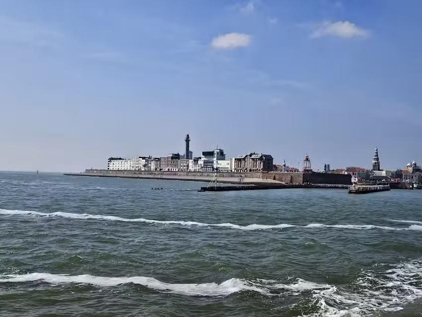 Zeehondensafari & Rondvaart Zeeland